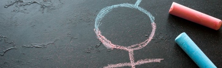 DESAFIOS DE TRAVESTIS E TRANSEXUAIS NO BRASIL